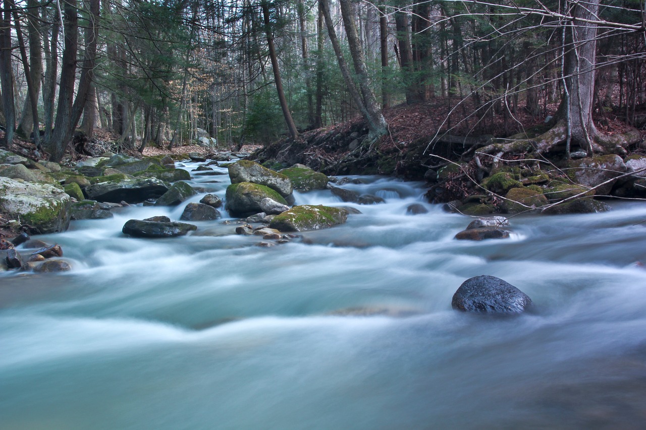 water stream flow free photo