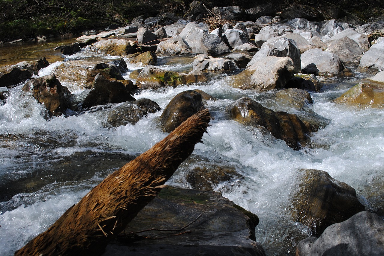 water log river free photo