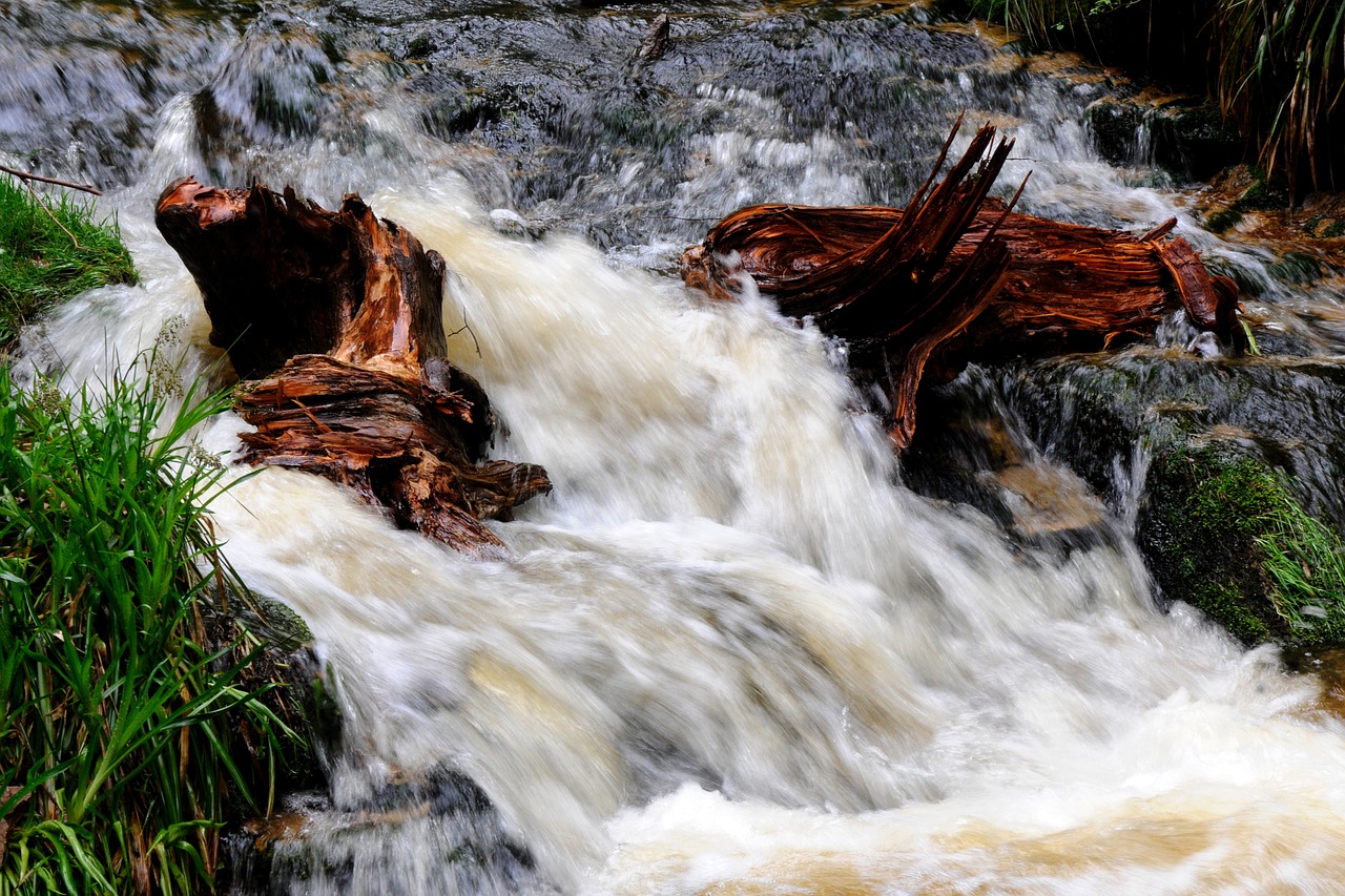 water wild flow free photo