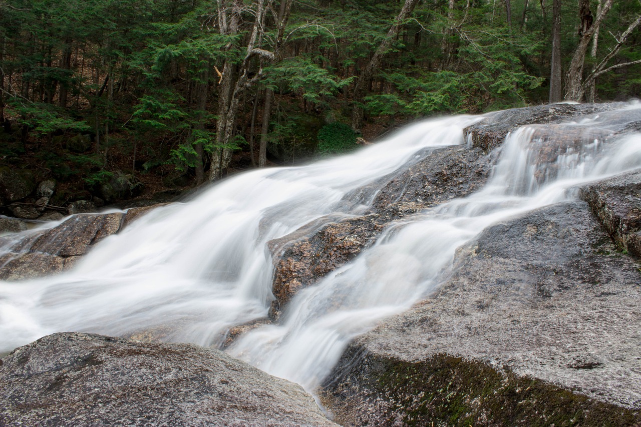 water stream river free photo