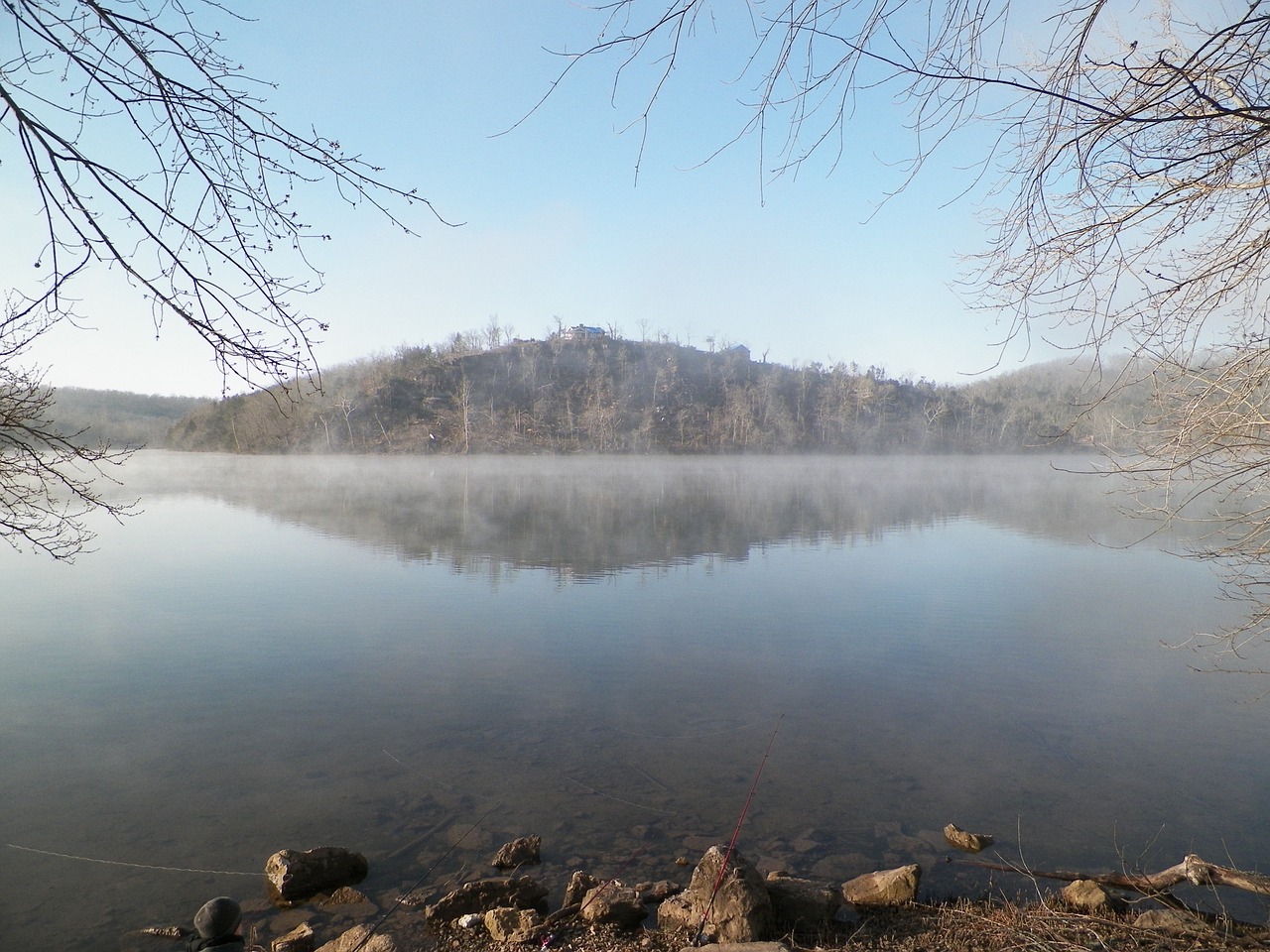 water fog tree free photo