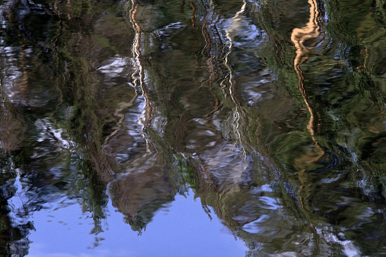 water reflections mirroring free photo