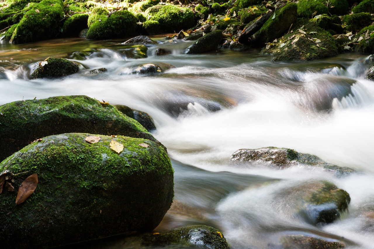 water flow bach free photo