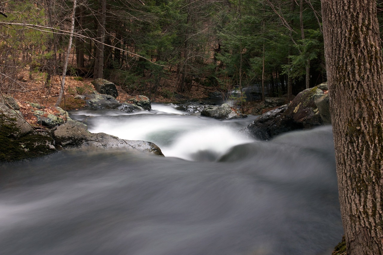 water creek river free photo