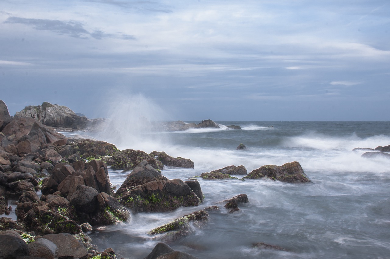 water mar li free photo