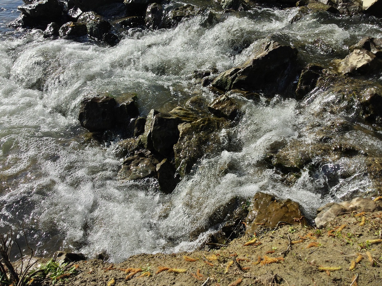 water rock nature free photo