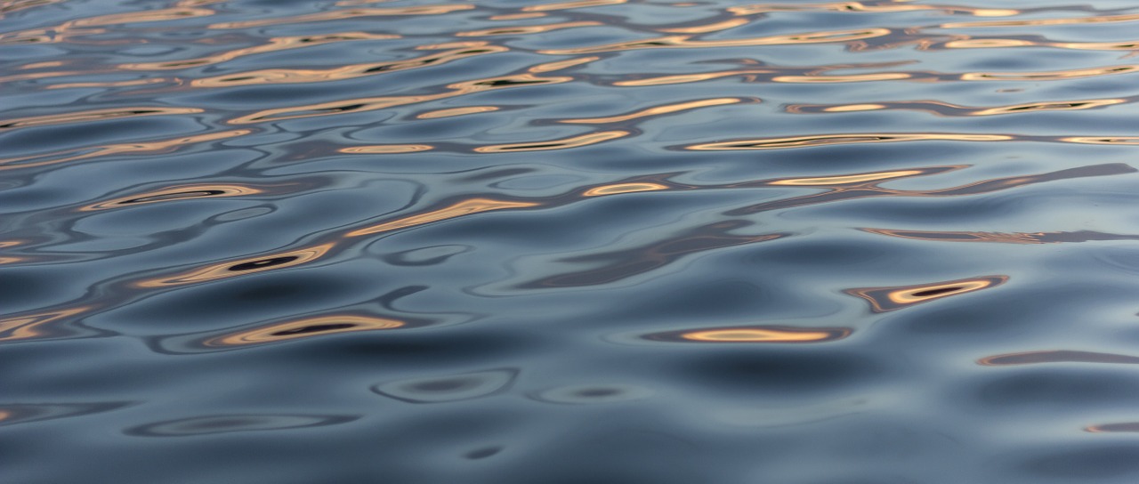 water surface ripples free photo