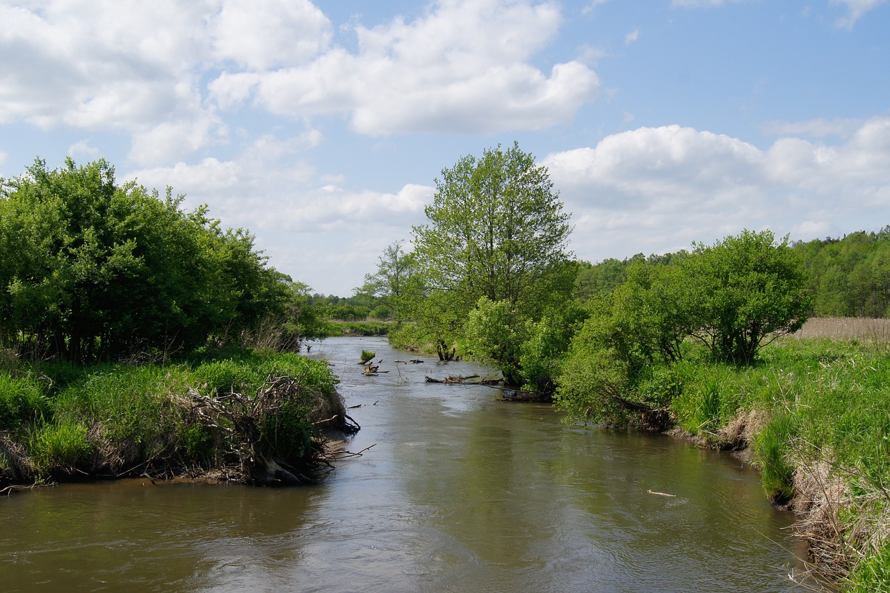 water river clouds free photo