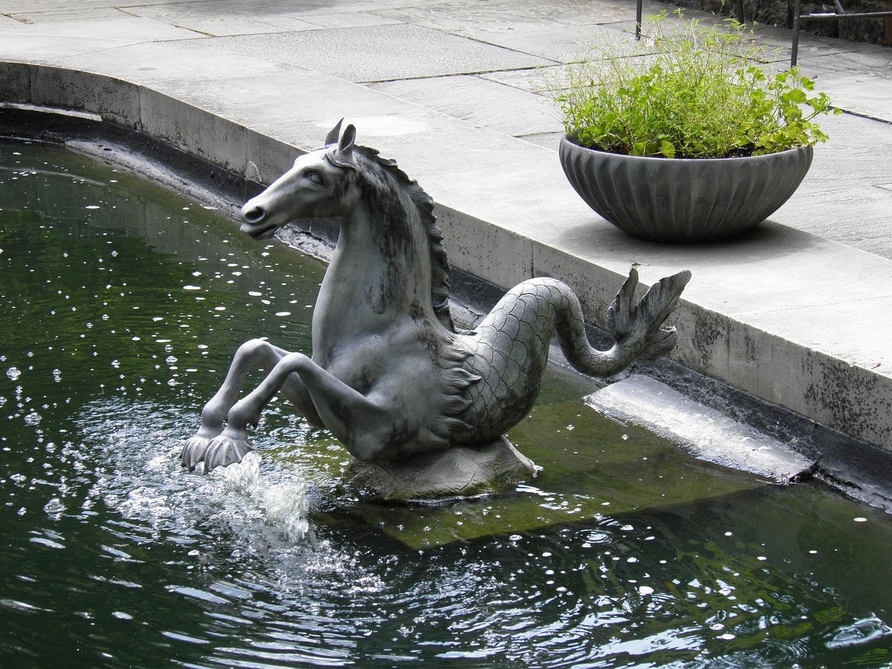 water horse fountain free photo