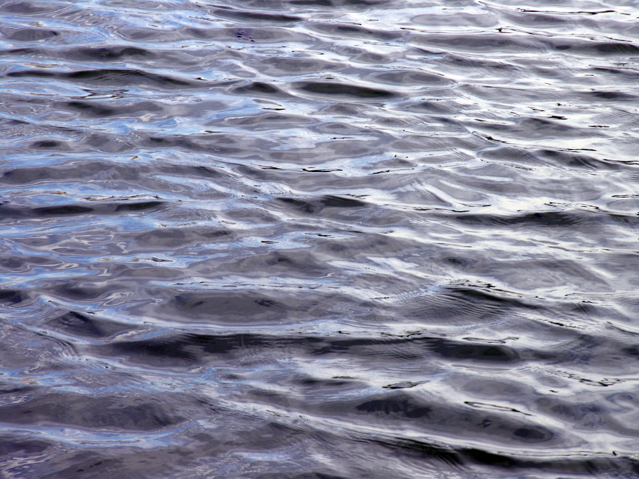 water sea texture free photo