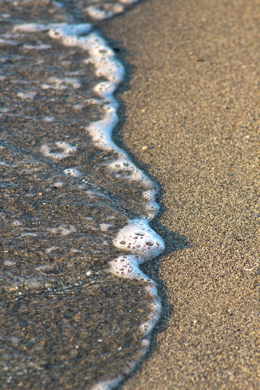 water sand beach free photo