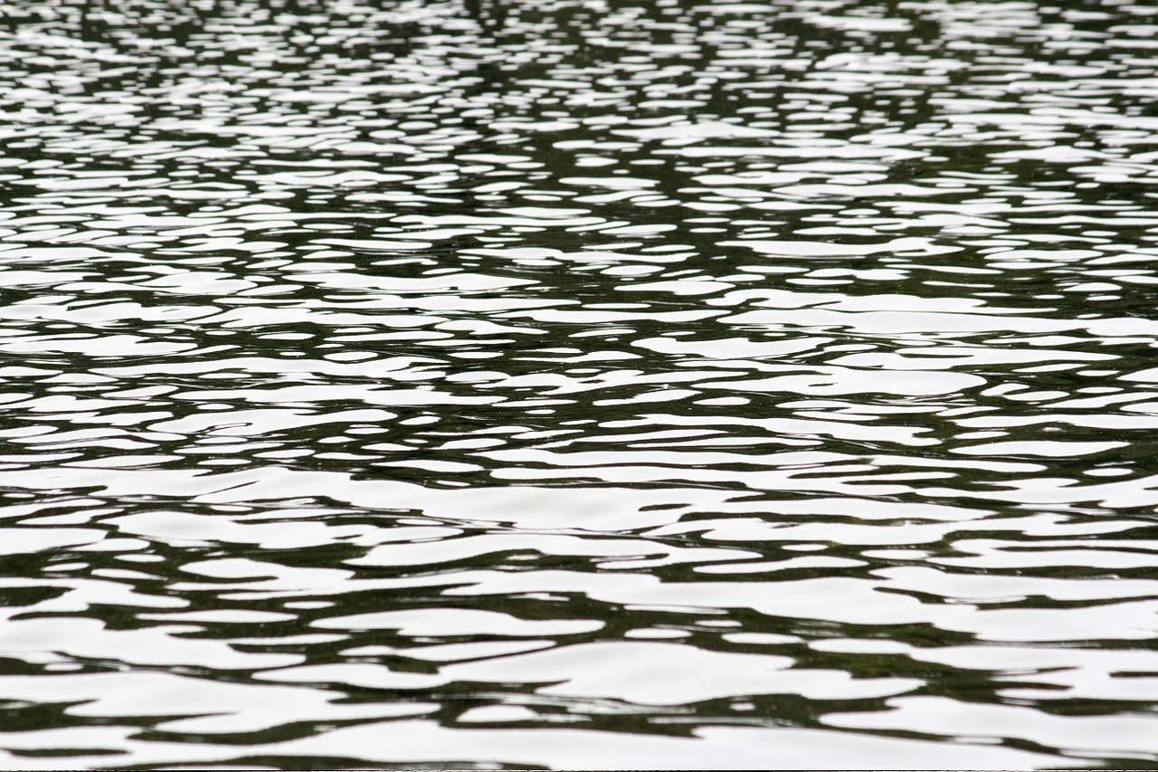 water lake texture free photo