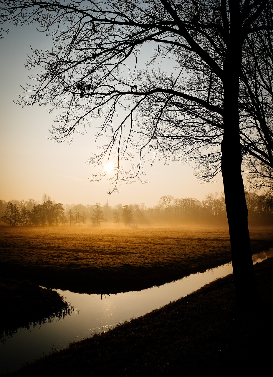 water channel morning free photo