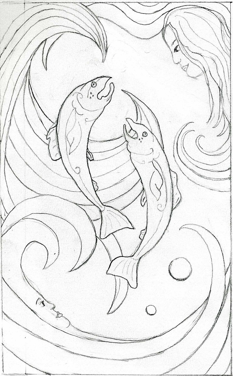 water fish drawn free photo