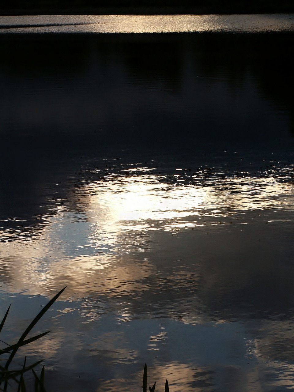 water pond evening free photo