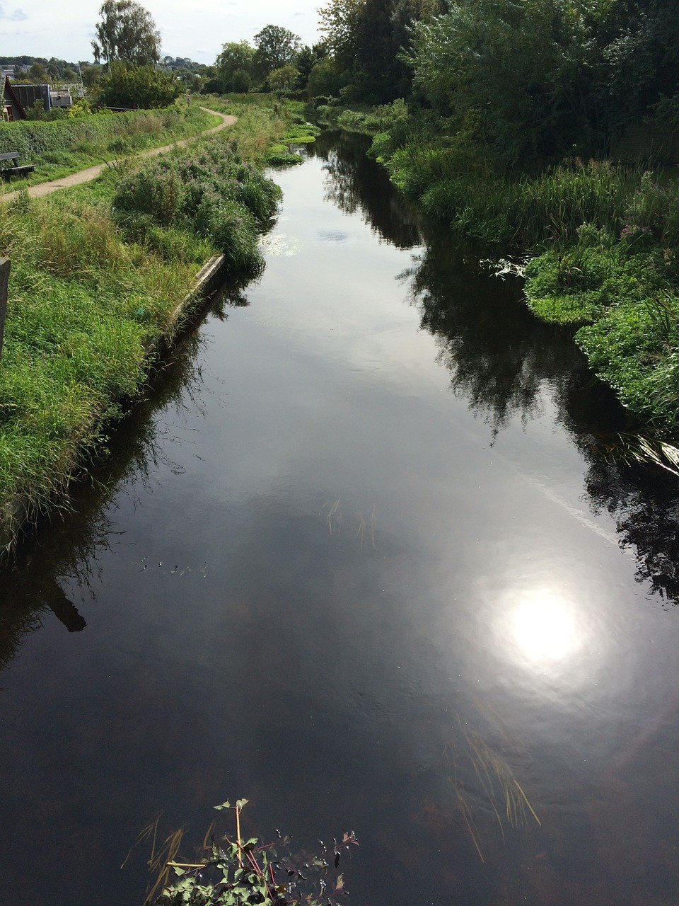 water river nature free photo