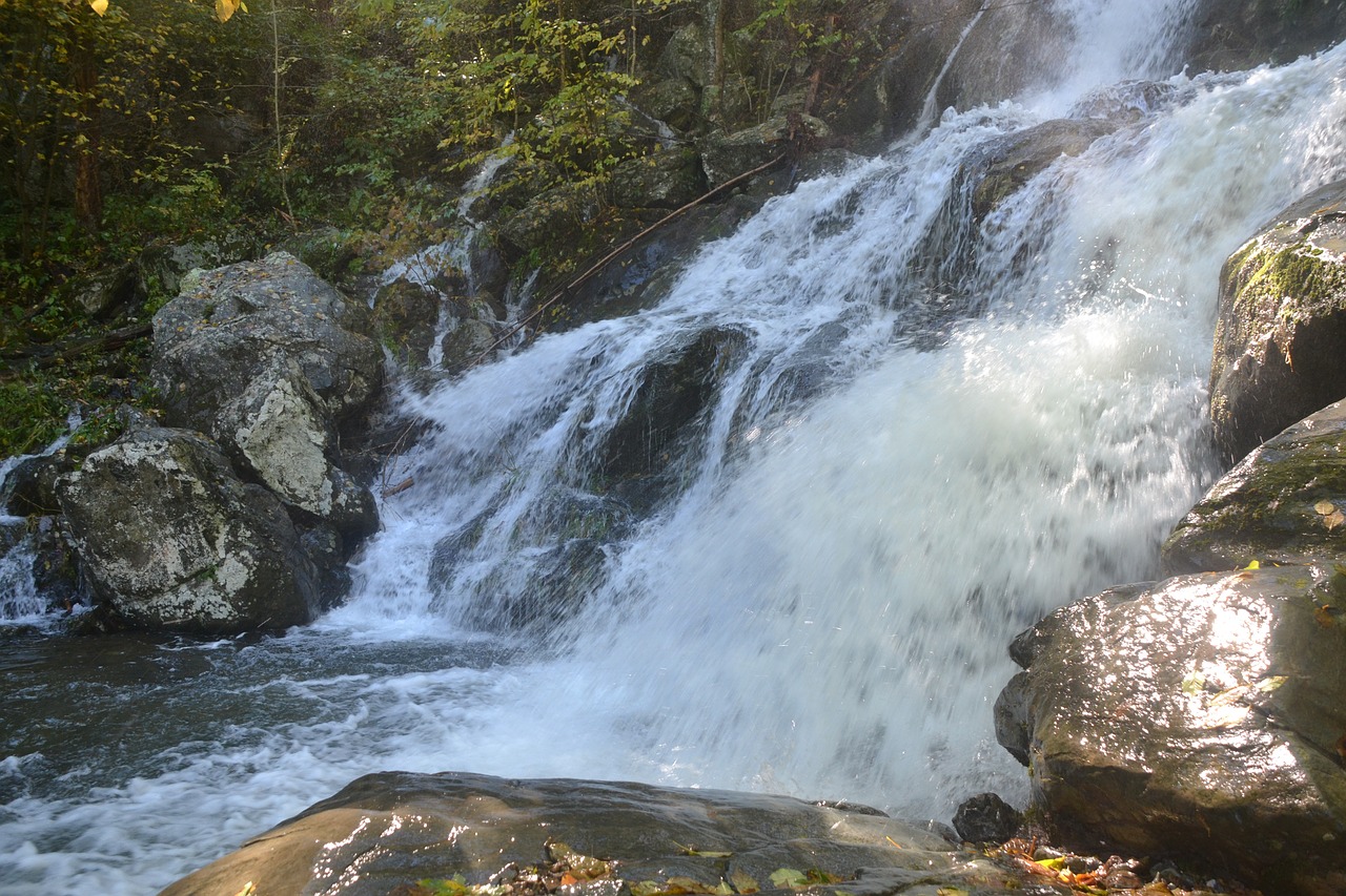 waterfall forest nature free photo