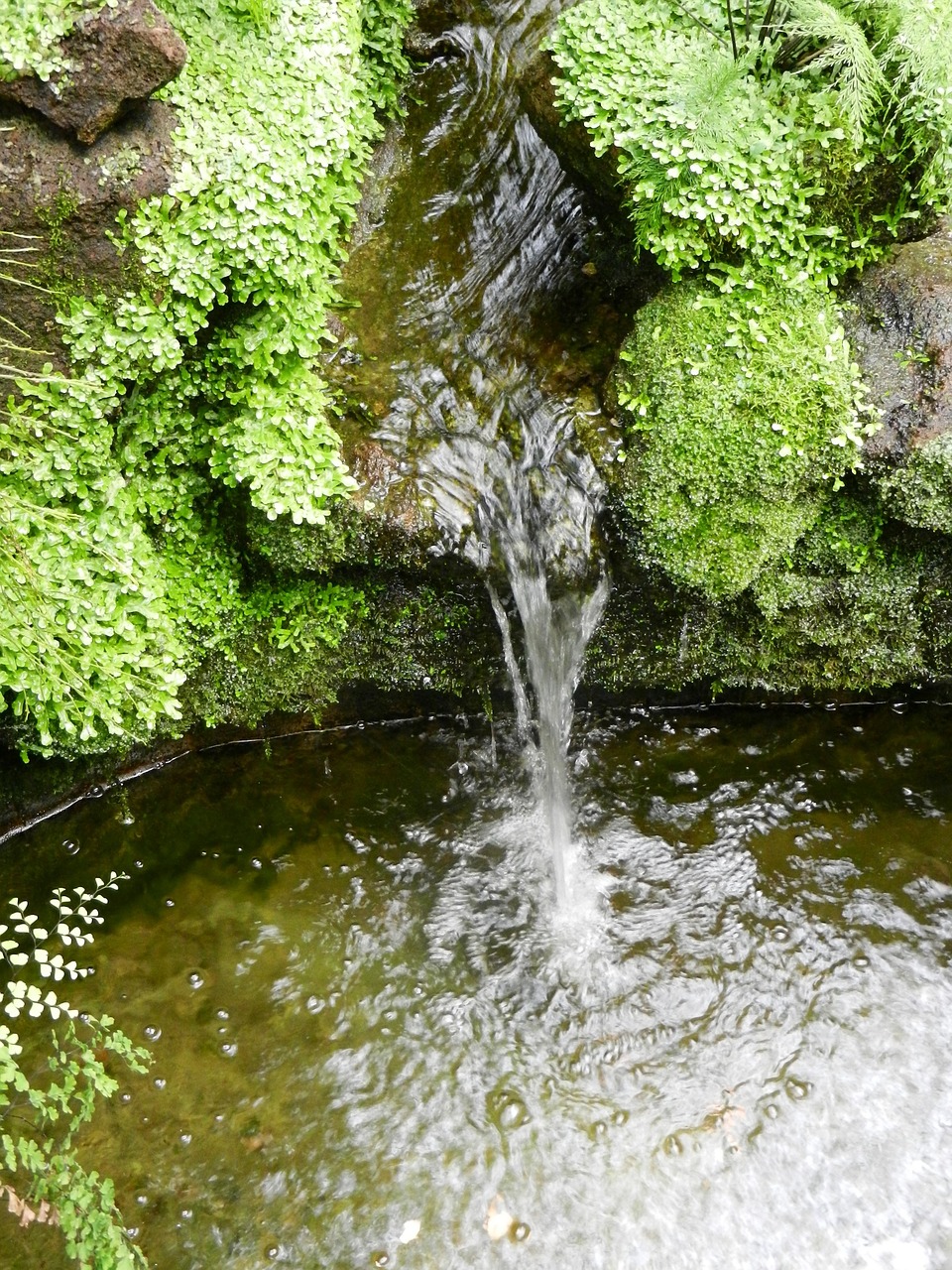 water waterfall river free photo