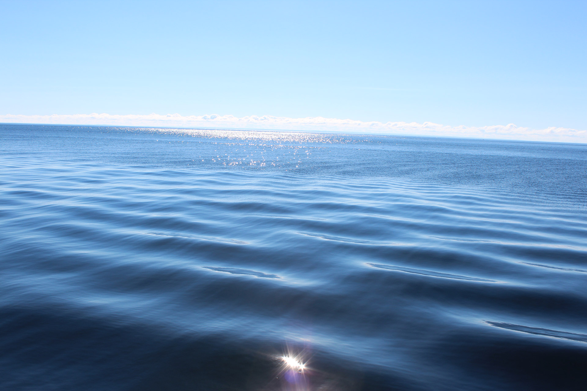 water background calm free photo