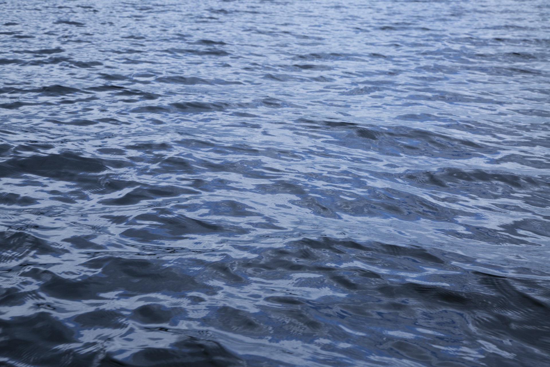 water sea background free photo