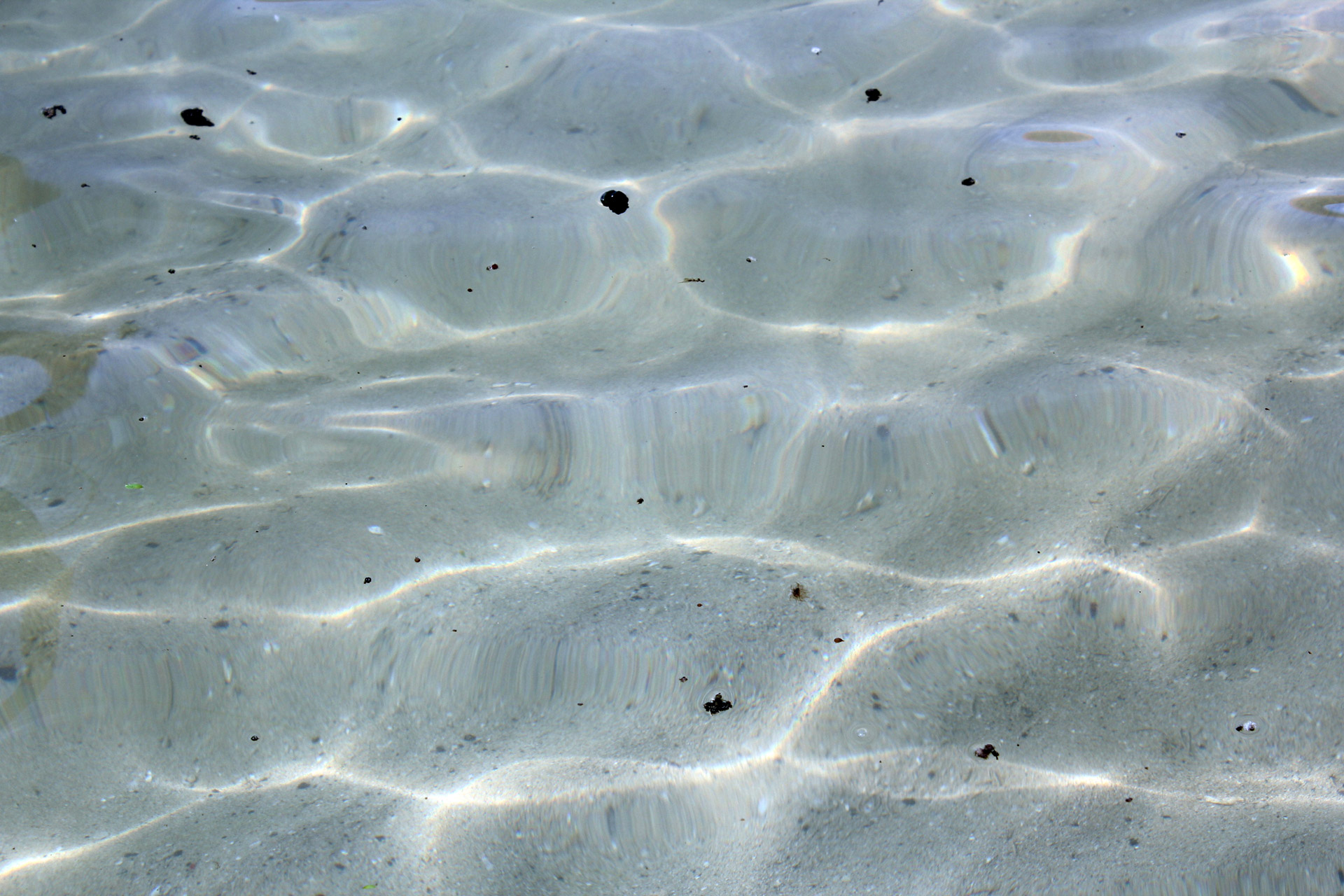 water background heart pebble free photo