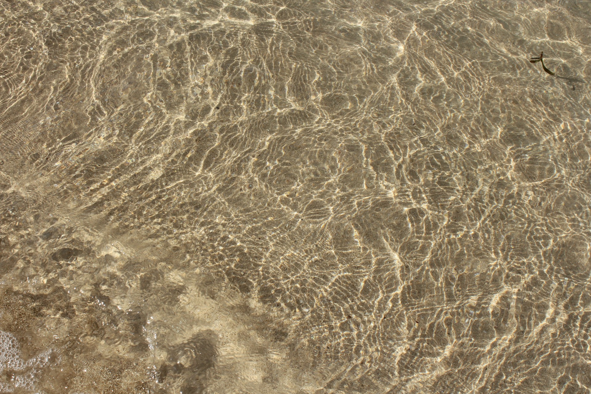 water beach water background free photo