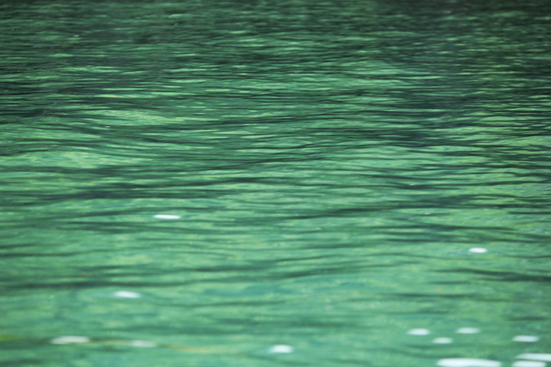 water background water background free photo