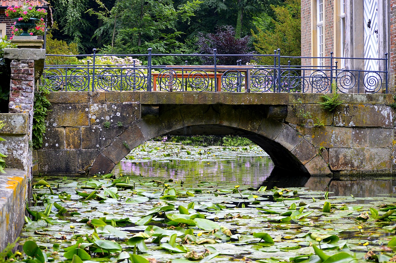 water bridge stone bridge water roses free photo