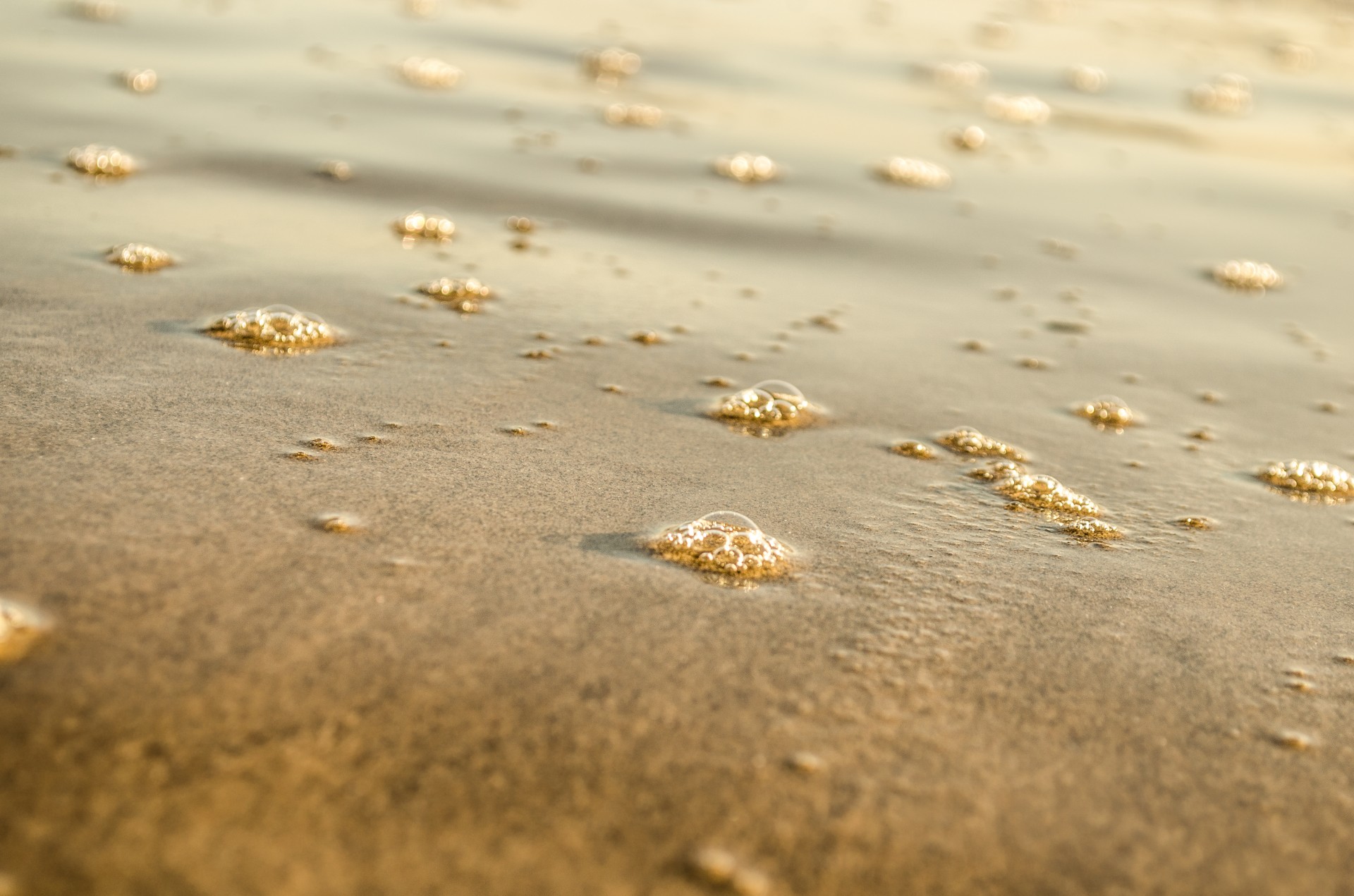 beach boiling bubble free photo