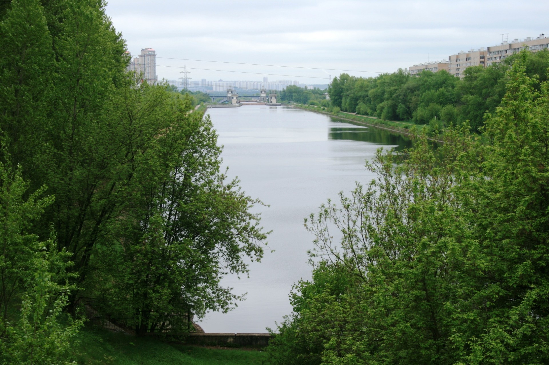 canal water trees free photo