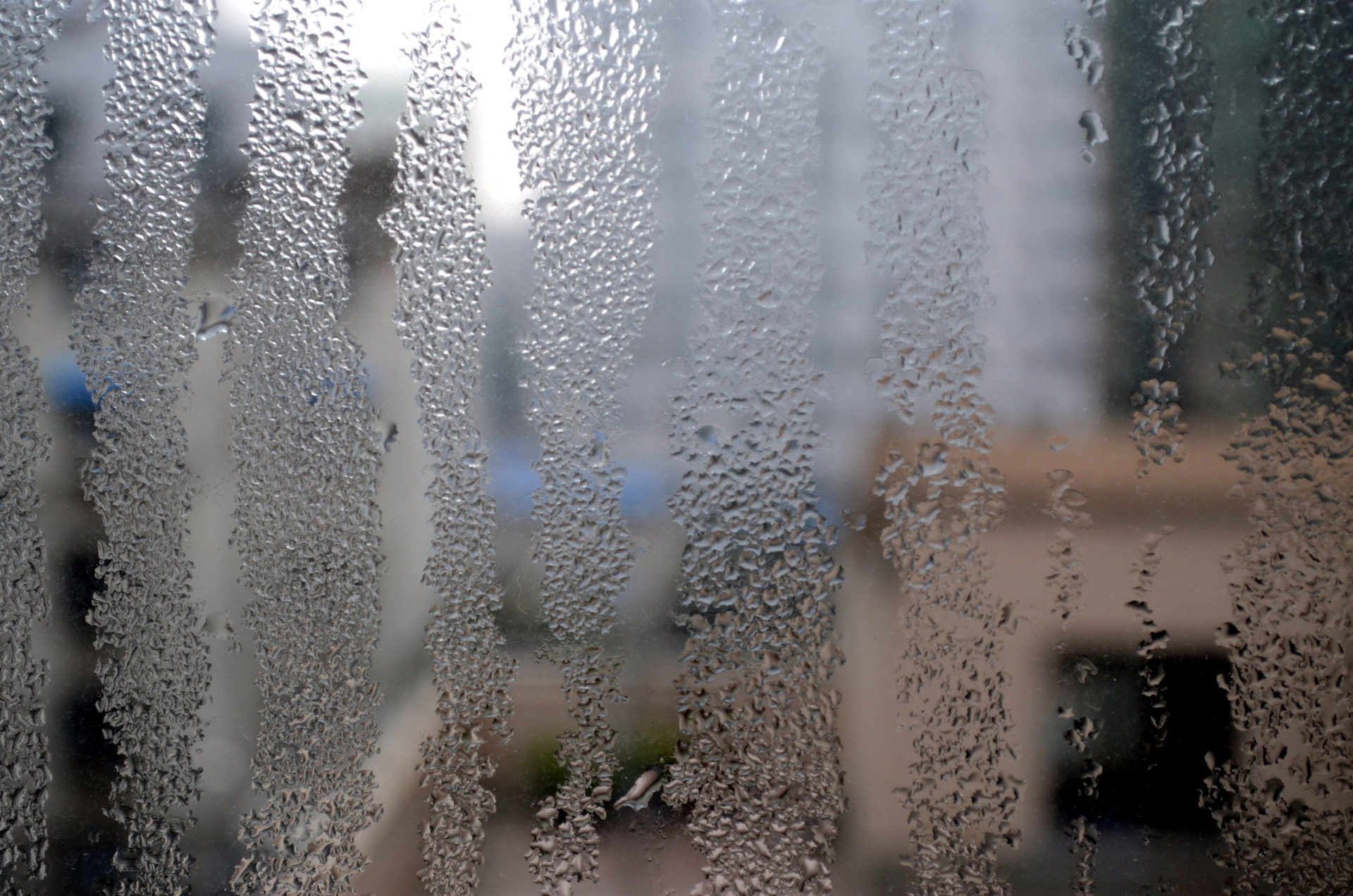 water condensation dew free photo