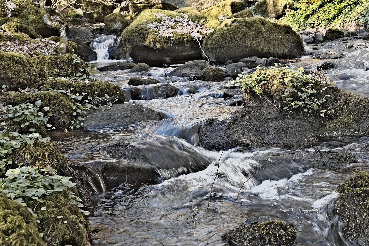 water courses river torrent free photo
