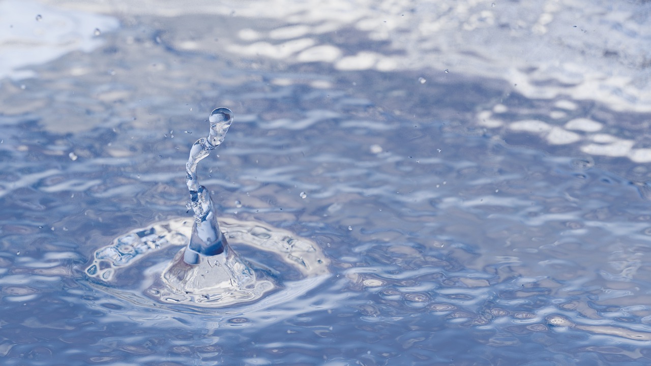 water droplet  splashing  waterdrop free photo