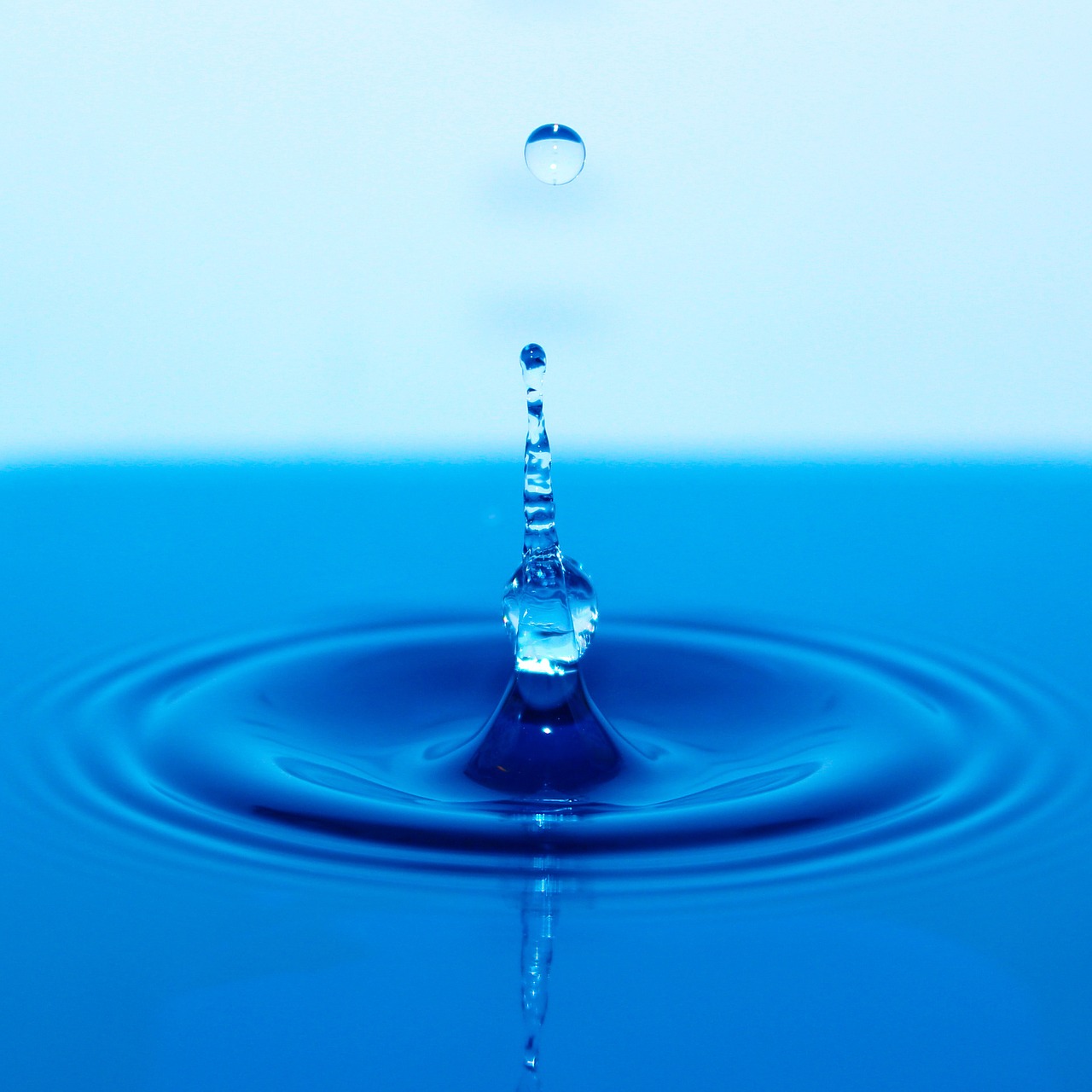 water droplet fast fresh free photo