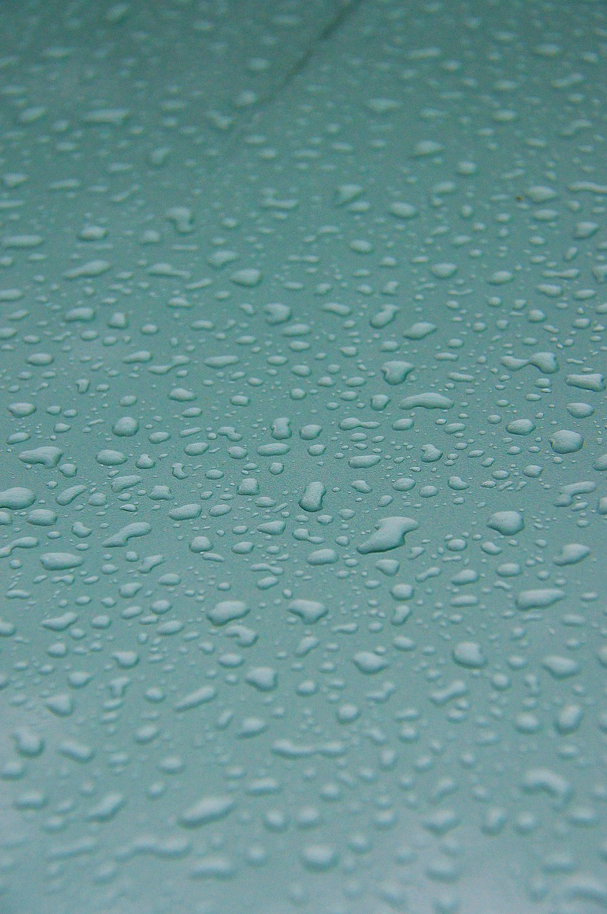 water droplets dew blue free photo