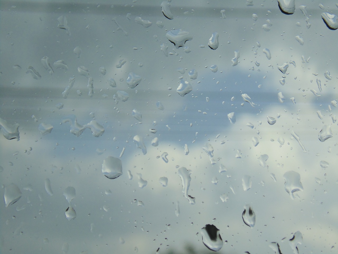water droplets window drops free photo
