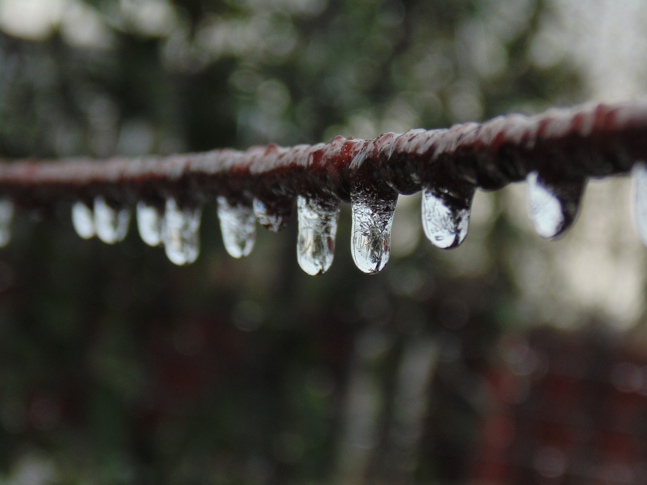 water droplets ice wire free photo