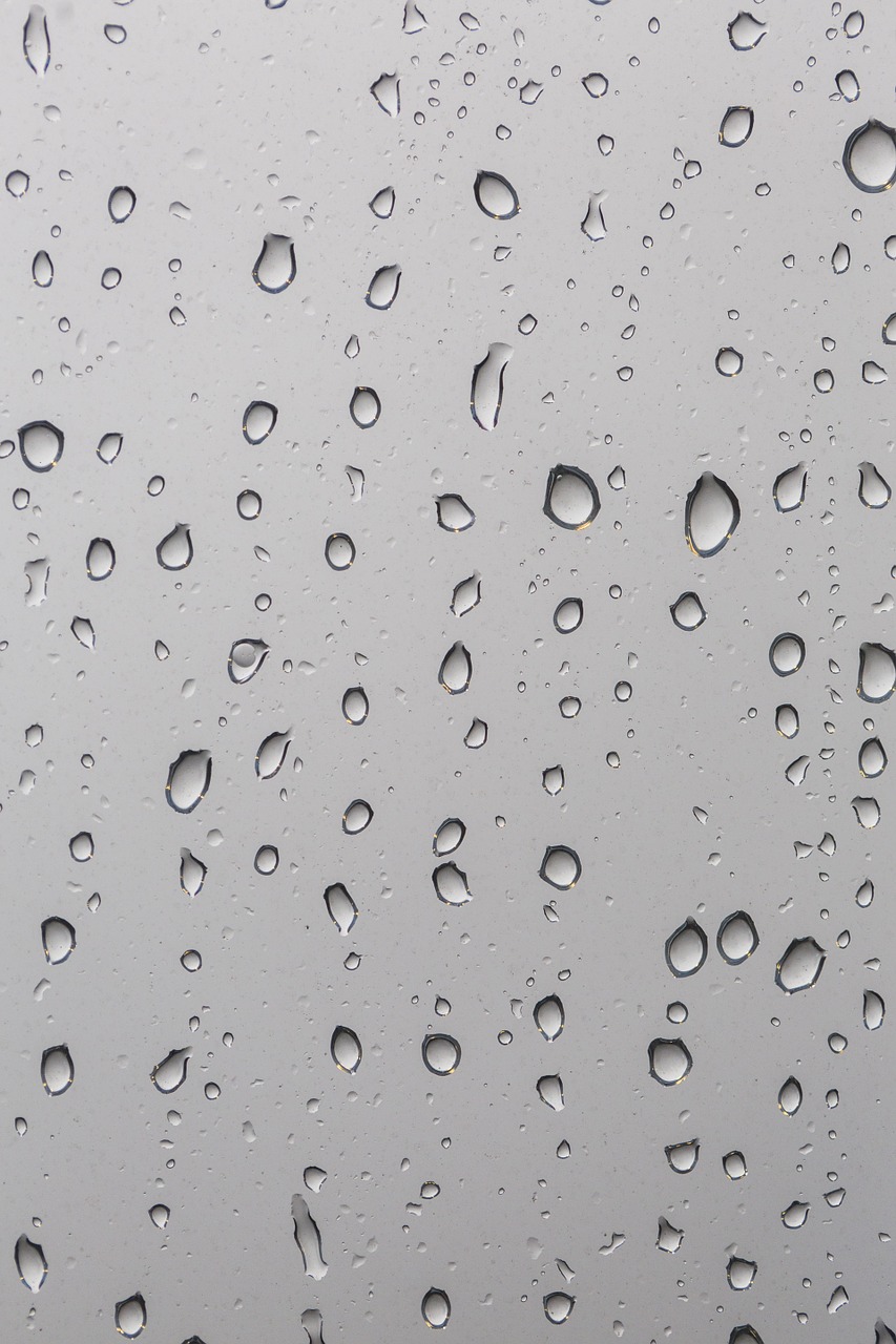 water drops raindrops windowpane free photo
