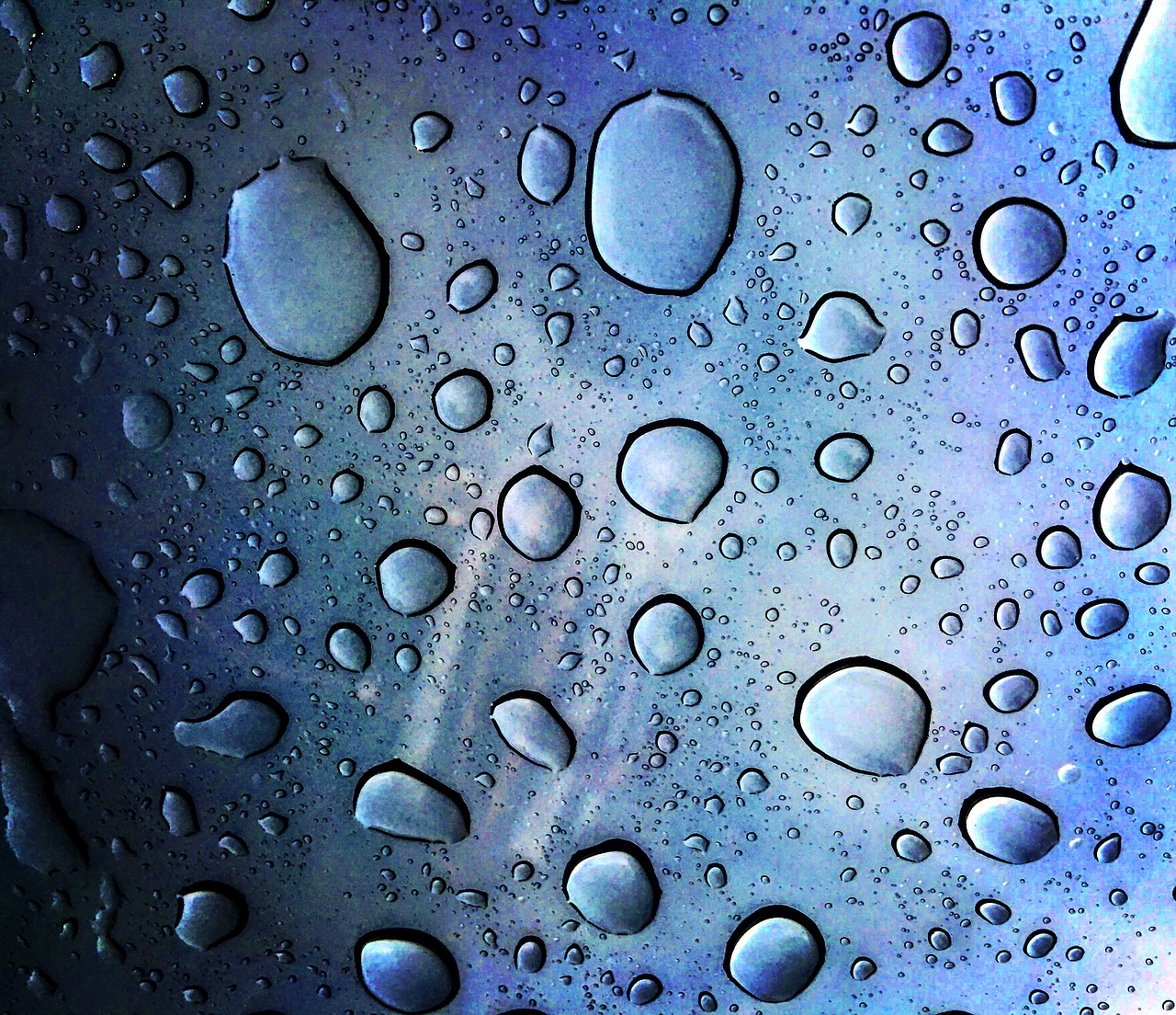 water drops rain drops droplet free photo