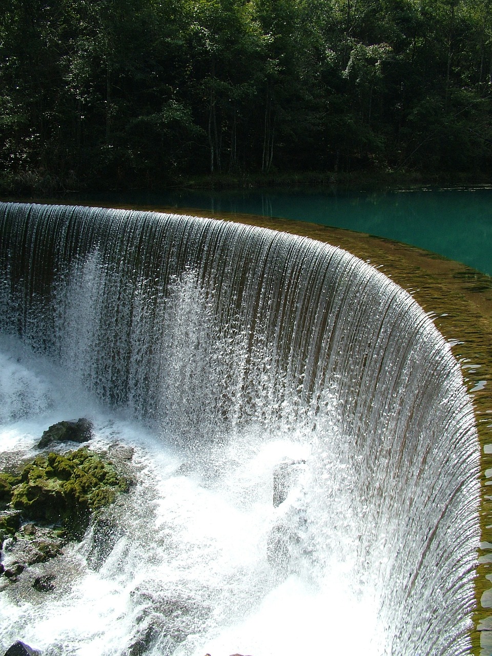 water fall forest clear free photo