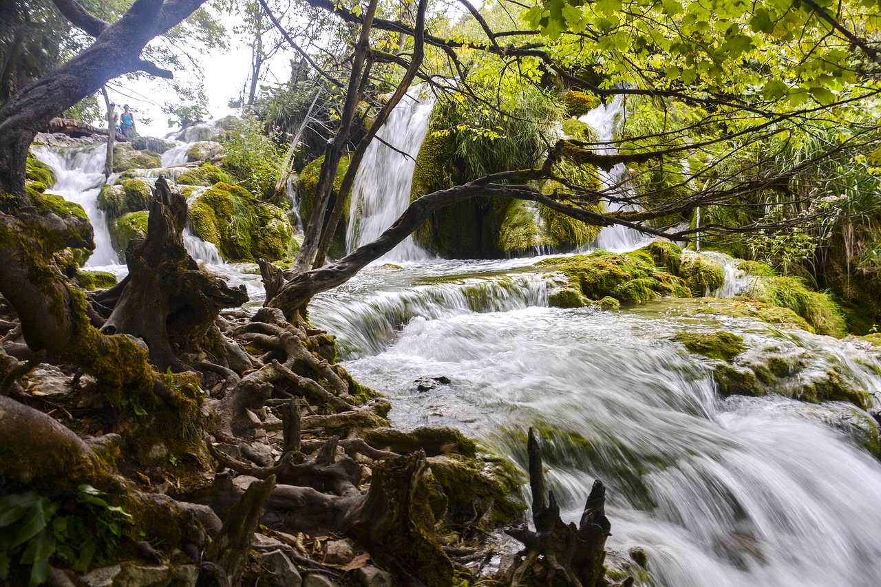 water fall woods environment free photo