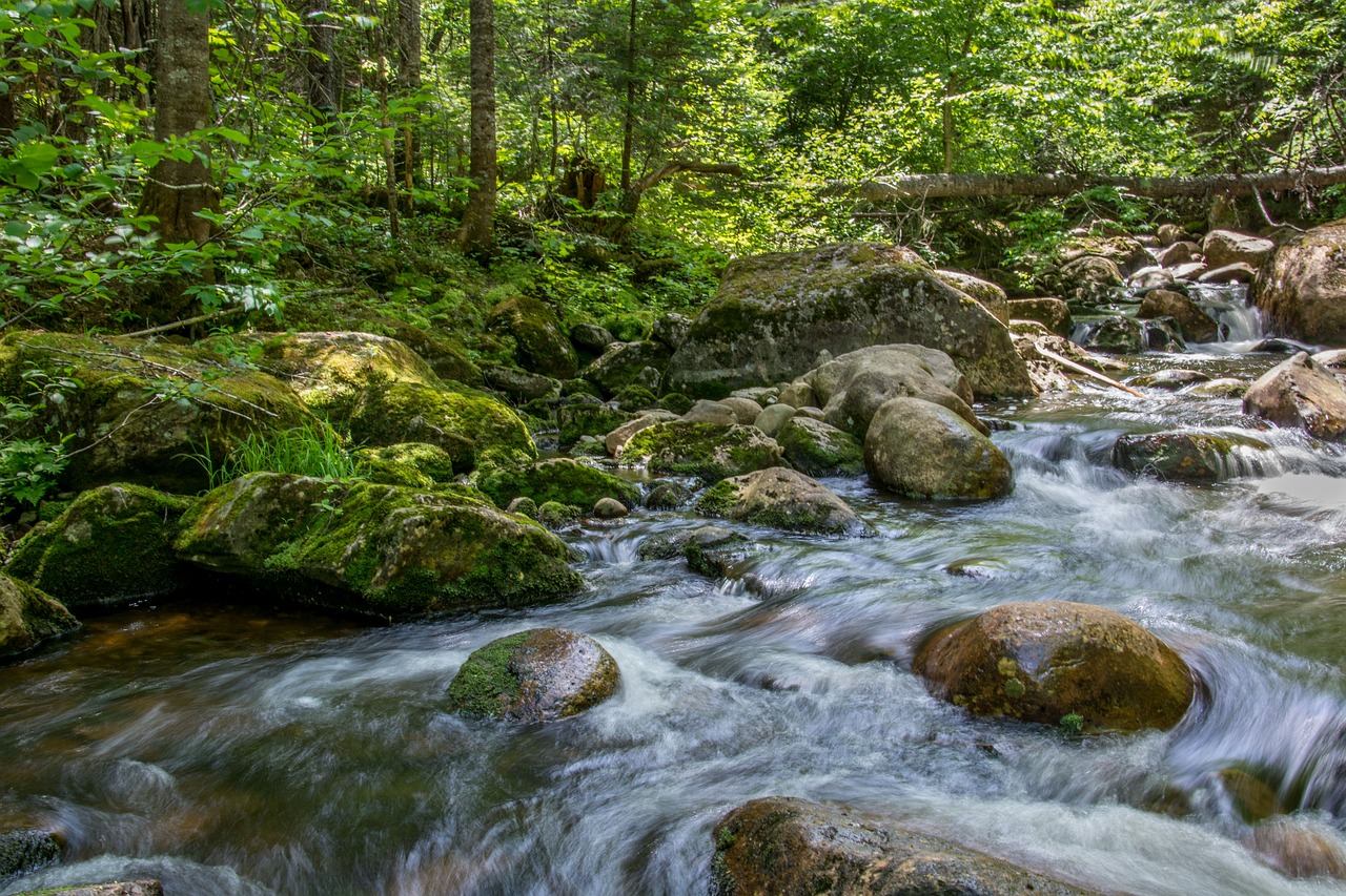 water falls nature river free photo