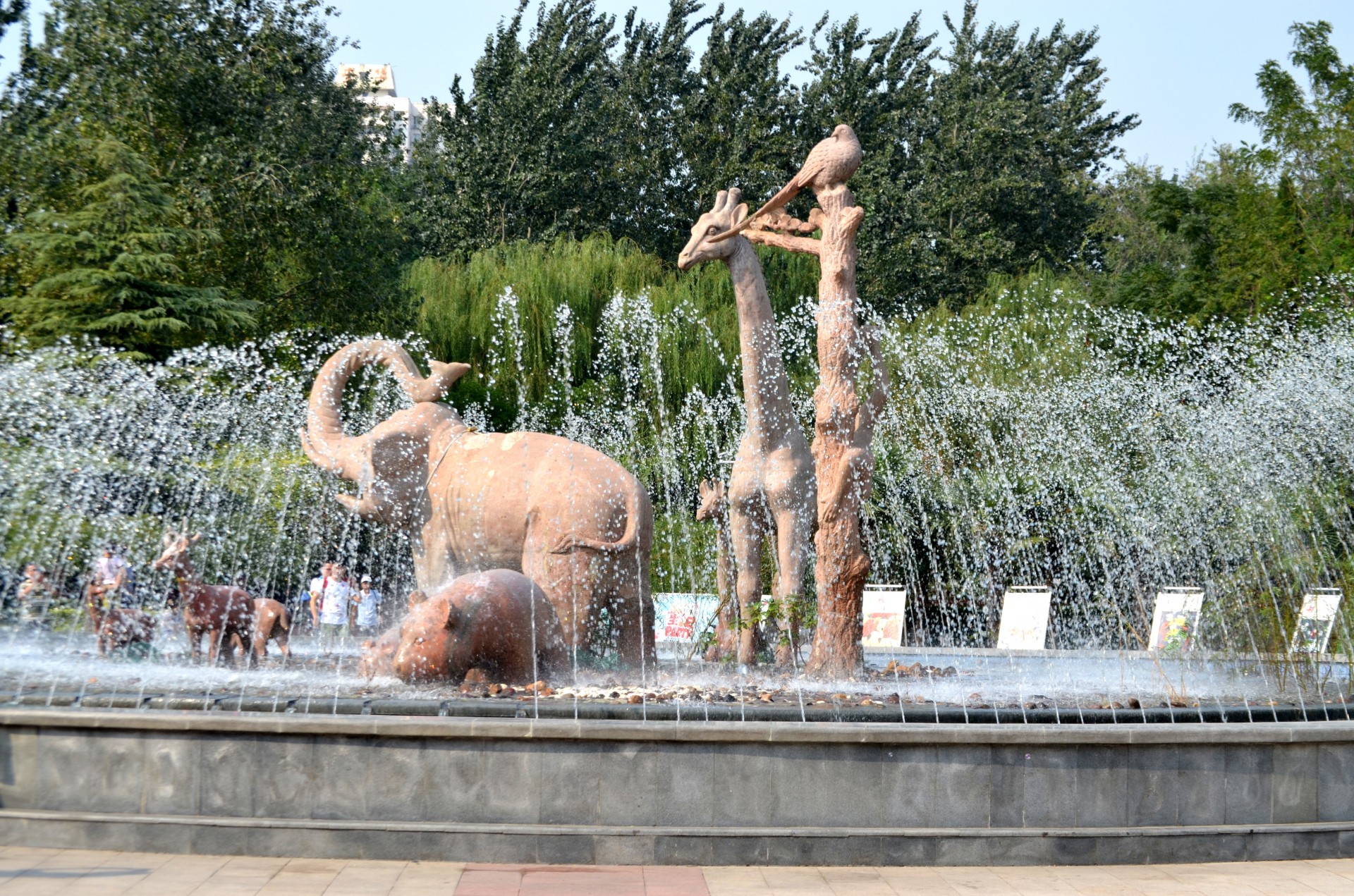 fountain water fountain water free photo