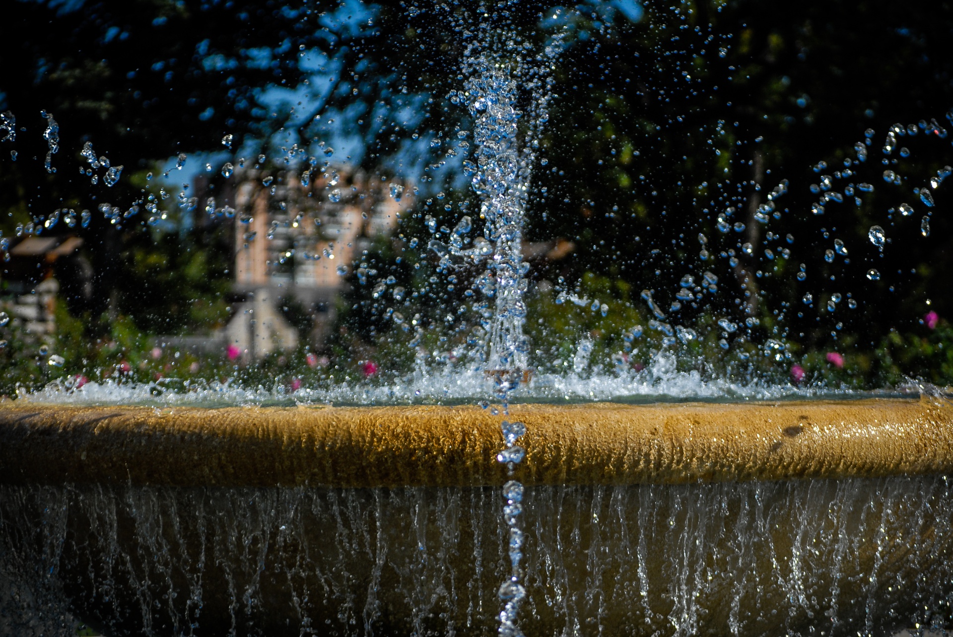 park fountain water free photo