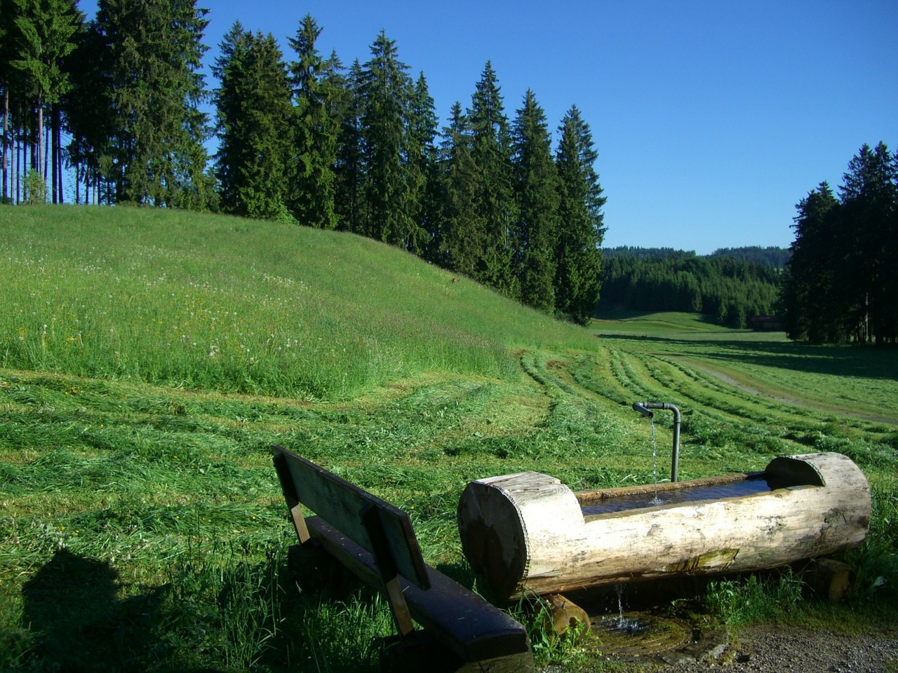 Water fountain,log,only,meadow,grass - free image from needpix.com