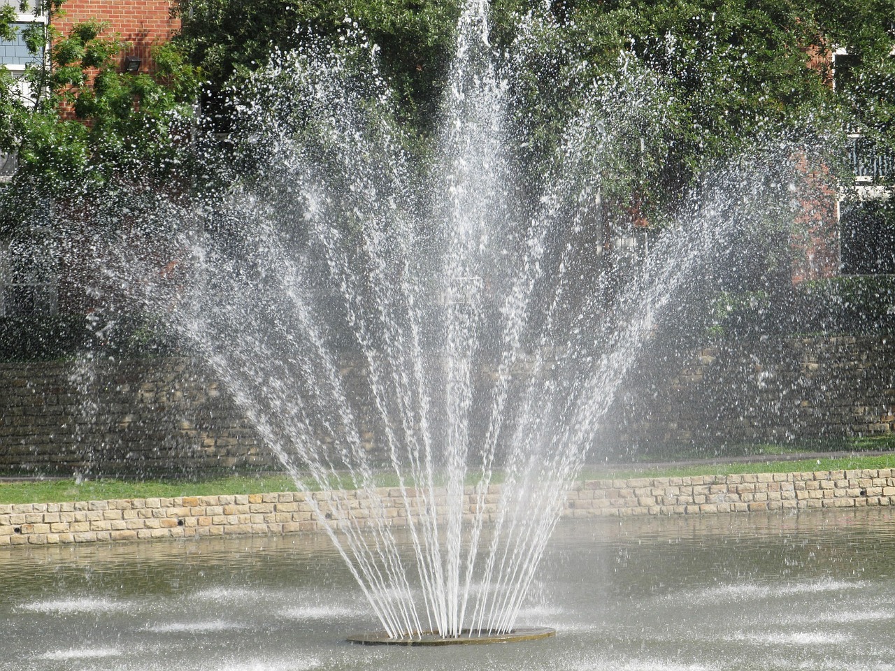 water fountain fountain spraying free photo