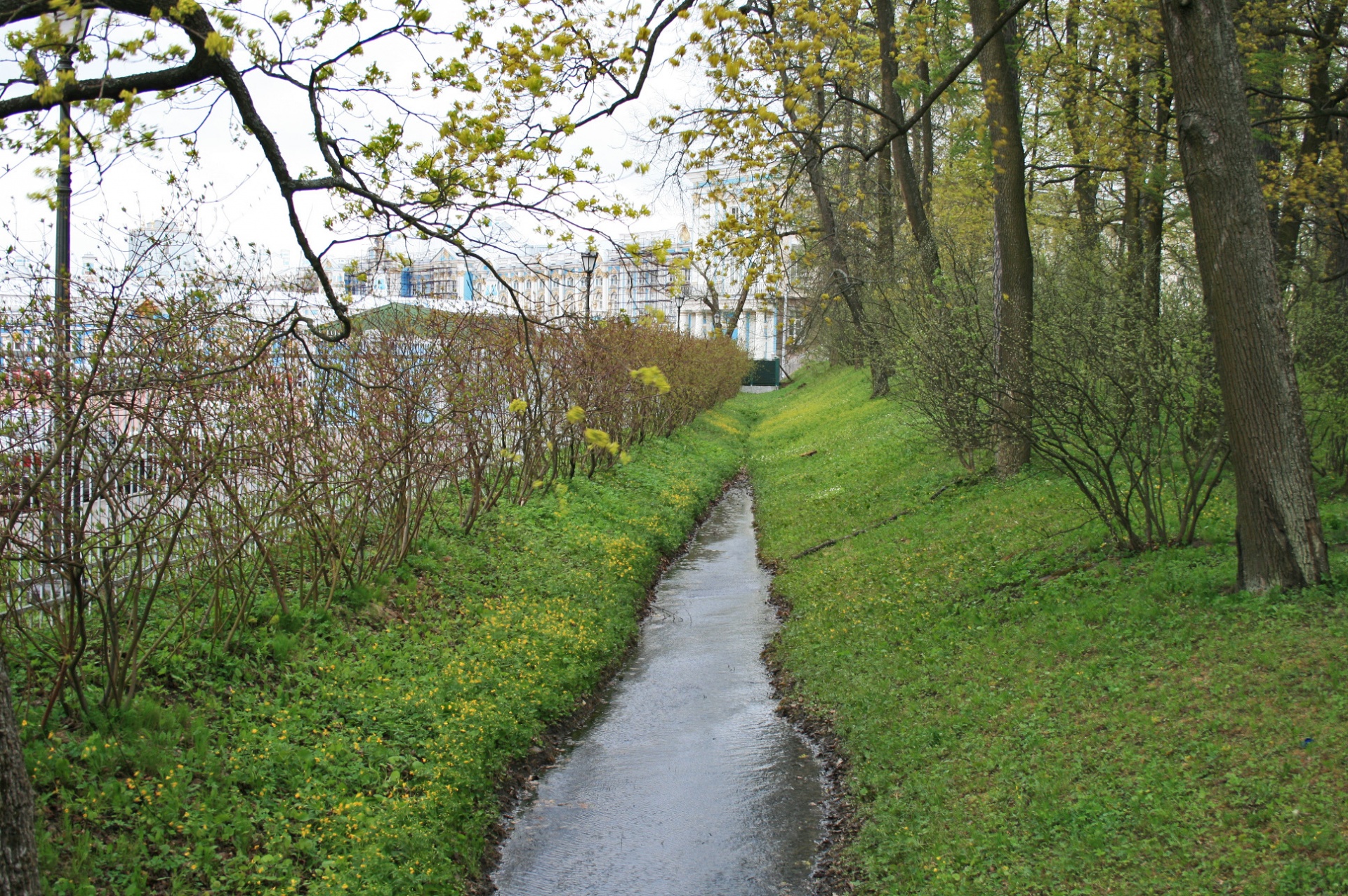 furrow water channeled free photo