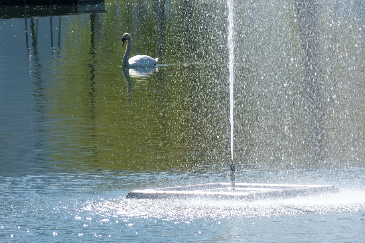 water games fountain swan free photo