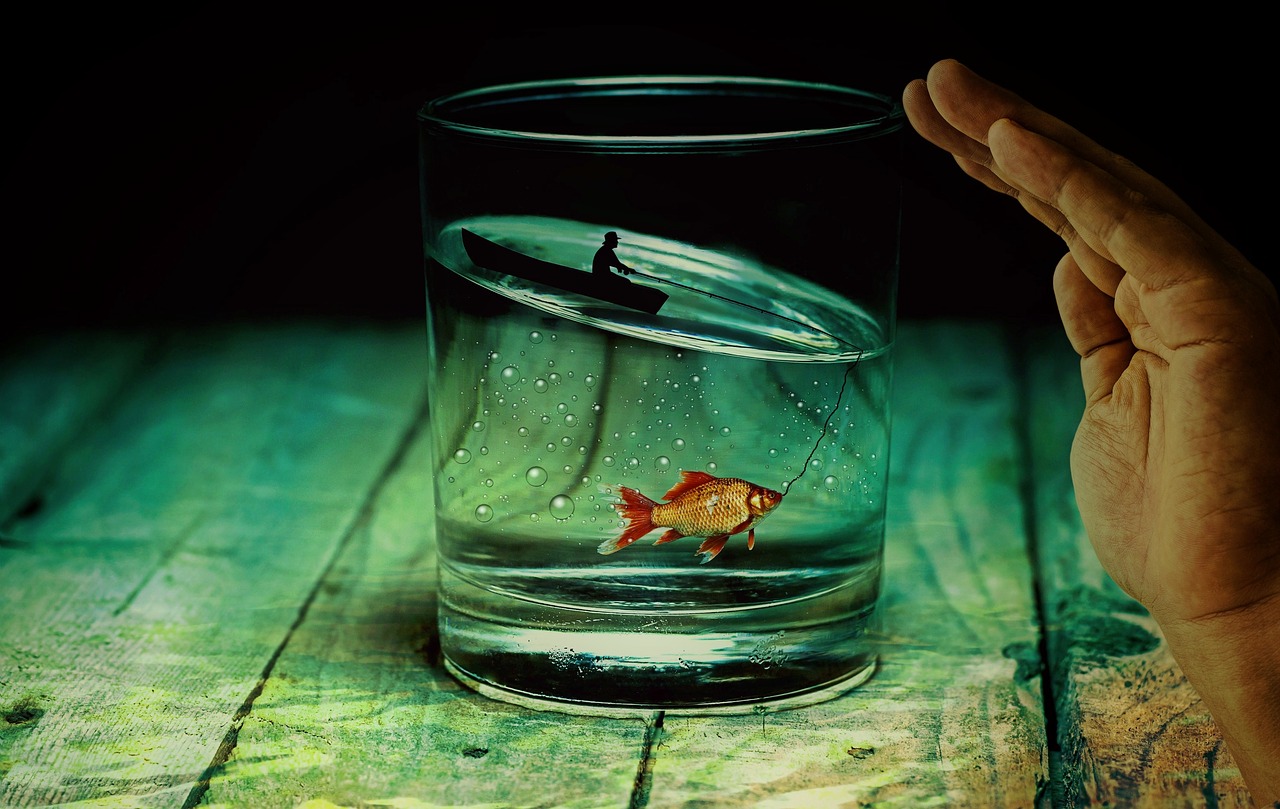 water glass angler fish free photo