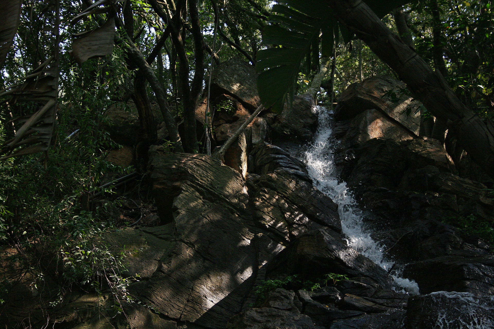 water cascade waterfall free photo